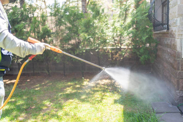 Spider Control Near Me in Millers Creek, NC